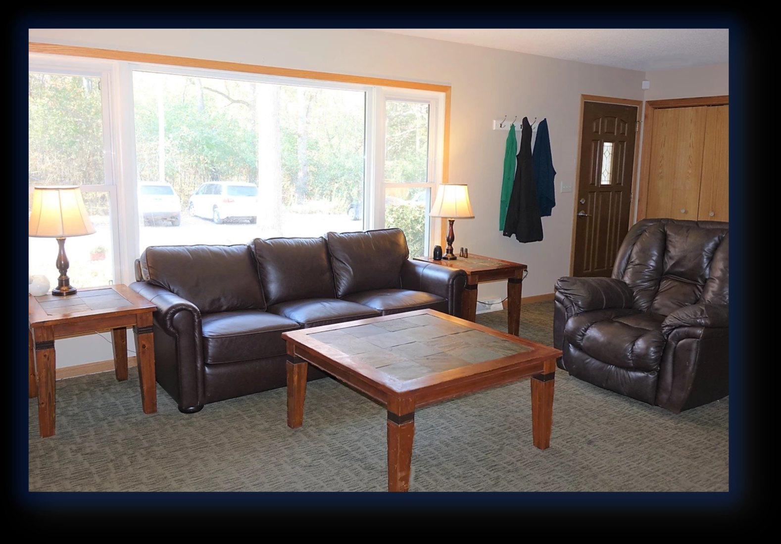 Living room with leather seating and forest views